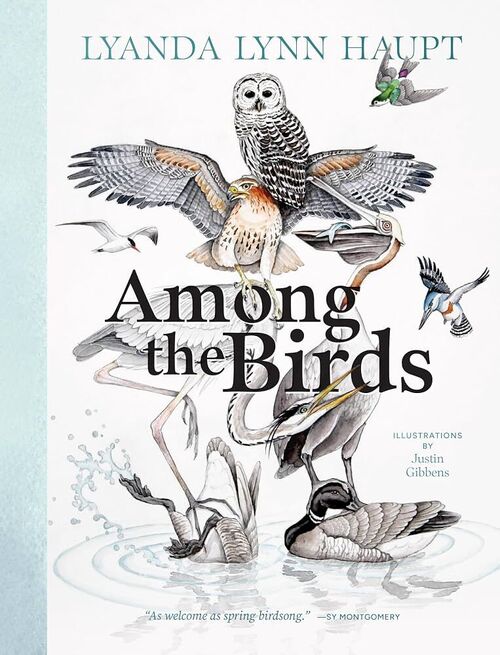 Among the Birds