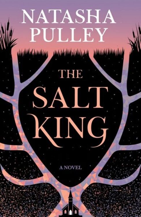 The Salt King